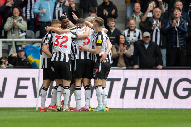 加入不仅提 加入不仅提